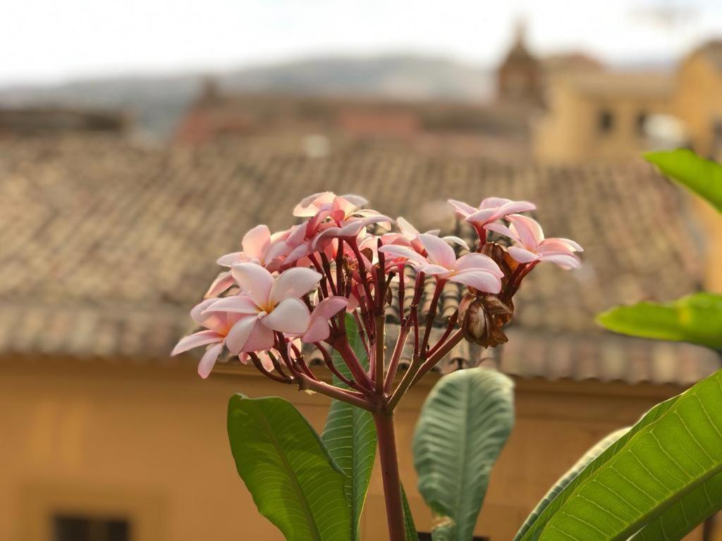 Terrazze Di Montelusa Agrigento Exteriör bild